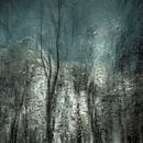 Frozen Frost Wood, Gilbert Claes van 1x thumbnail