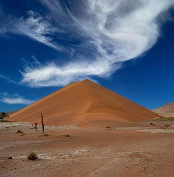 Duin in Sossusvlei in Namibië, Afrika van Patrick Groß