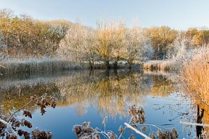 Ein sonniger Wintermorgen in Bergen op Zoom