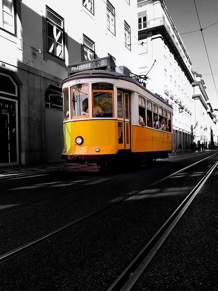 Line 28 by Max Suijker