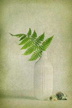 Stillleben Frauenfarn