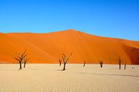Sossusvlei duinen, Namibia
