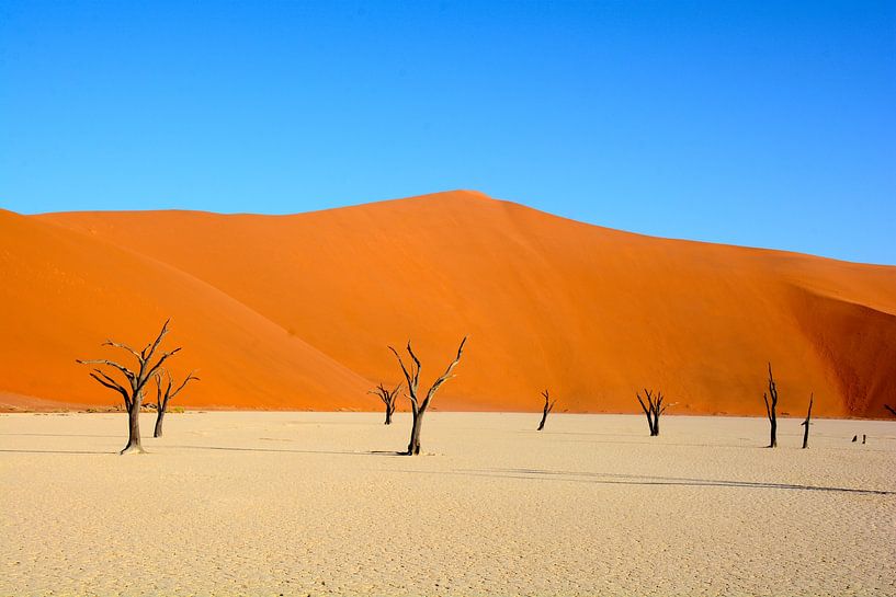 Sossusvlei duinen, Namibia van Florence Schmit