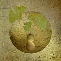 Ginkgo. Balance. Green.