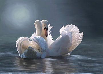 Swans love by W. Vos