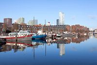 haventje in de stad Rotterdam