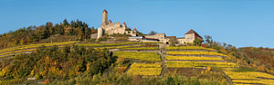 Burg Hornberg im Herbst