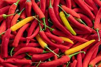 Hot Peppers