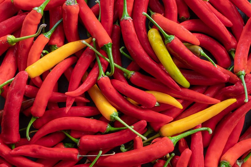Hot Peppers by Hans-Jürgen Janda