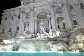 Trevi fontijn van Ivana Luijten