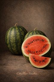 Watermelon by Bert Quaedvlieg