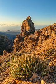 Pico de las Nieves bei Sonnenaufgang von Markus Lange