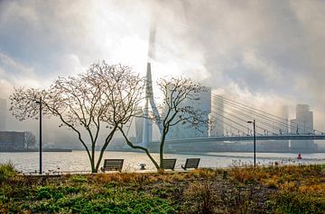De schaduw van de Erasmusbrug van Frans Blok - foto's, kunst en andere wanddecoratie
