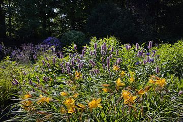 Bloeiende zomerbloemen van Carl-Ludwig Principe