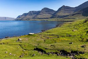 Landschap van de Faeröer eilanden 5 van Adelheid Smitt