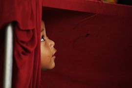 Kiekeboe by Carli Wensveen Photography