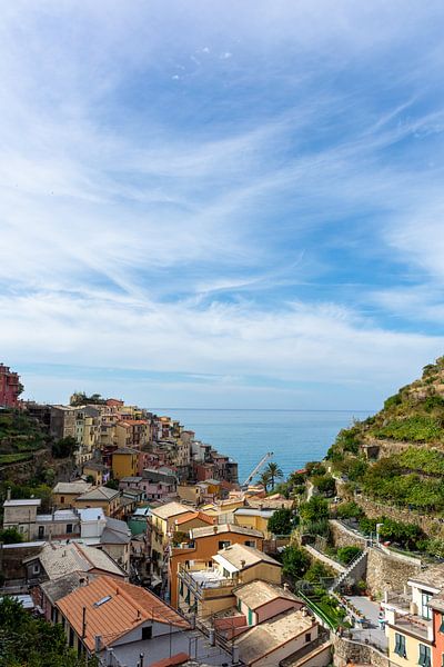 Stadtbild von Manarola von Mark Scholten