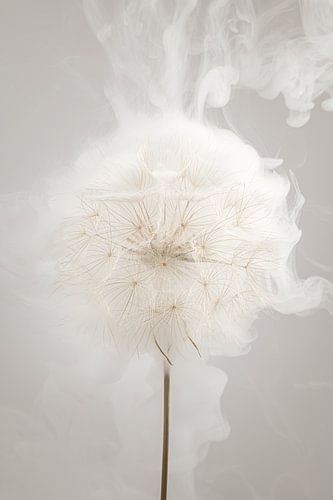 Light shades inspired by nature – Botanical fluff ball with abstract smoke by Marjolijn van den Berg