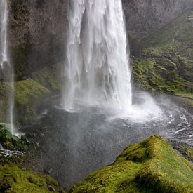 Seljalandsfoss waterval in IJsland van Reis Genie