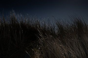 Mystery of dunes series 4 of 4 by Foto Studio Labie