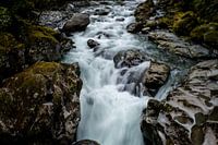 In beweging - Haast Pass, Nieuw-Zeeland