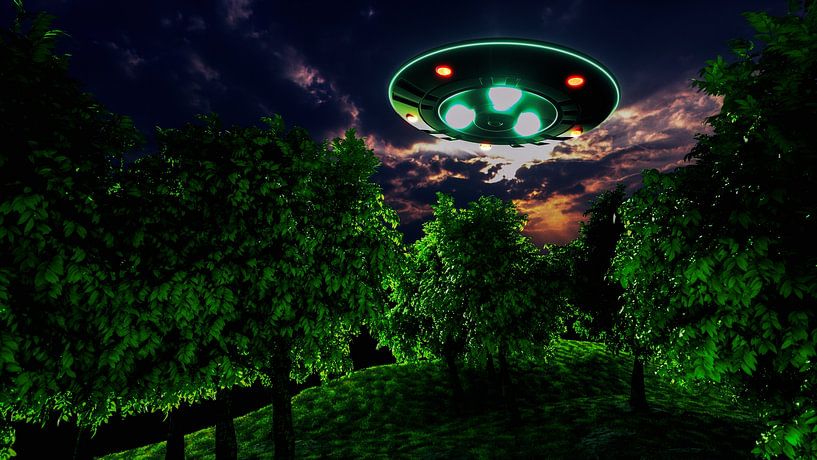 Ein UFO über einer Waldlichtung von Rainer Zapka