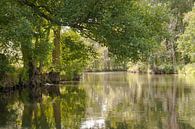 Spreewald van Peter Baier thumbnail
