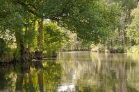 Spreewald