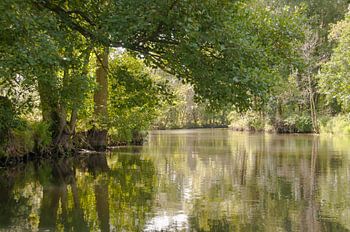 Spreewald