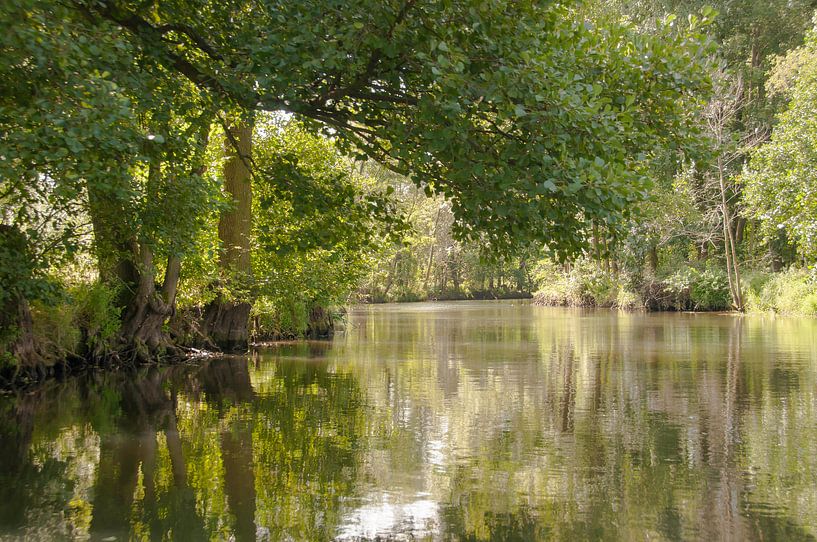 Spreewald van Peter Baier