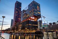 Der Rote Apfel Rotterdam