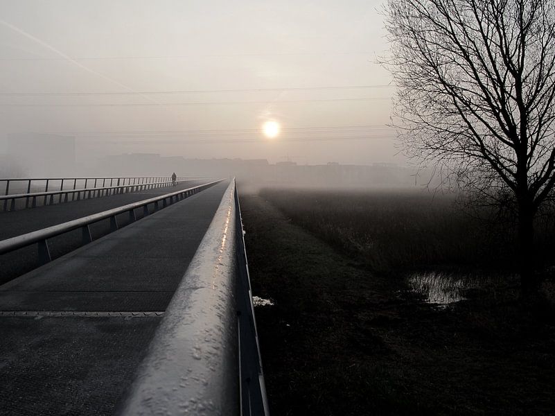 Mistige brug par Job Beima