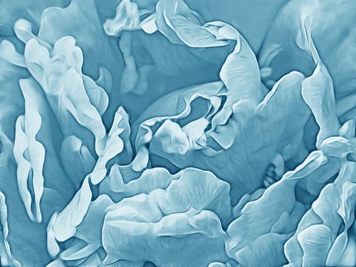 Pivoine (version Denim)