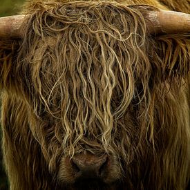 Blonde-haired Scottish Highlander by Theo Felten