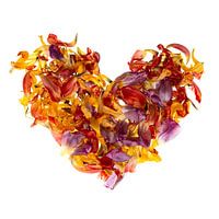 Heart of colorful petals