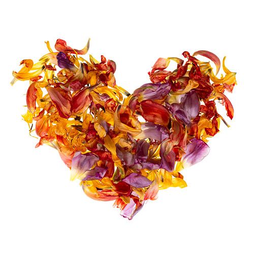 Hartje van kleurige bloemblaadjes