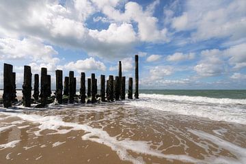 Zeeland ten voeten uit van Thom Brouwer