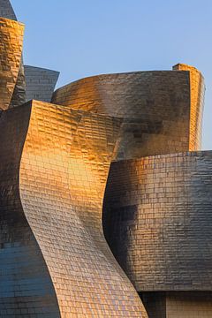 Guggenheim Museum, Bilbao van Henk Meijer Photography