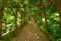 In der Pergola vom Kurpark in Bad Brückenau