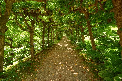 In de pergola van het kuurpark in Bad Brückenau