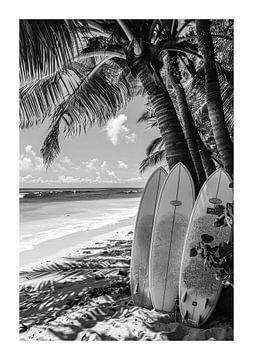 Image en noir et blanc avec des planches de surf sur une plage tropicale sur Felix Brönnimann