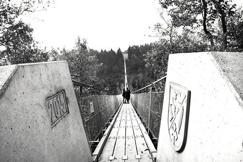 The beginnings of geierlay