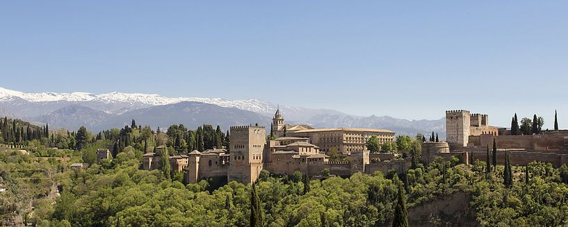 Panoramablick auf die Alhambra in Granada von Antwan Janssen
