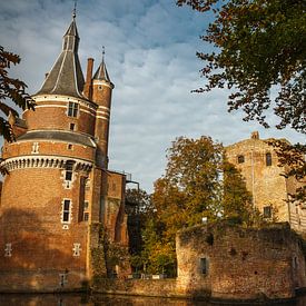 Kasteel Duurstede van Michel de Nijs Bik