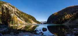 Reflexionen am Lake Agnes