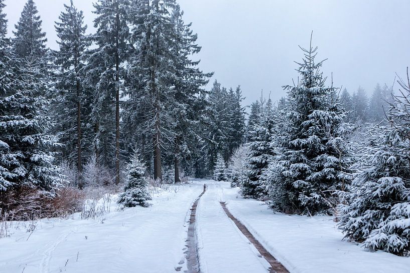 Winterliche Entdeckungstour durch den Thüringer Wald von Oliver Hlavaty