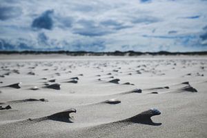 Schelpenstrand op Ameland van Nico van der Vorm