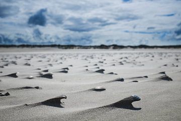 Shell beach on Ameland