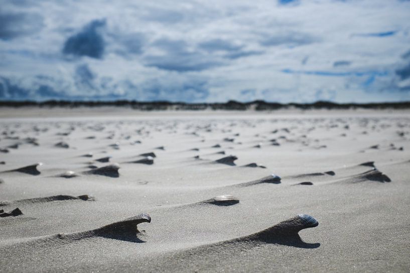 Shell beach on Ameland by Nico van der Vorm