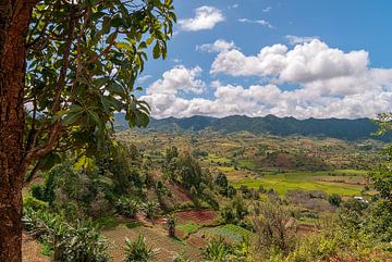 Myanmar: Landschap Kalaw (Kalaw Township) sur Maarten Verhees